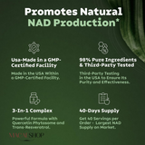 NAD+RESVERATROL + CON  RIBOSIDO DE NICOTAMIDA LIPOSOMAL